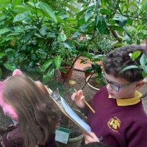 Botanical-Gardens02